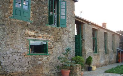 Nueva web, tienda, blog…